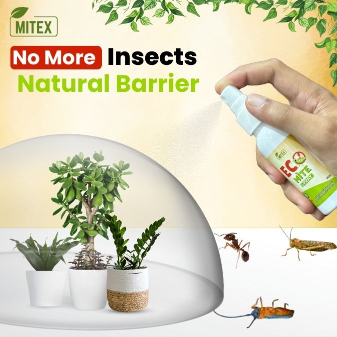 Eco Mite Spray (Pack of 2)