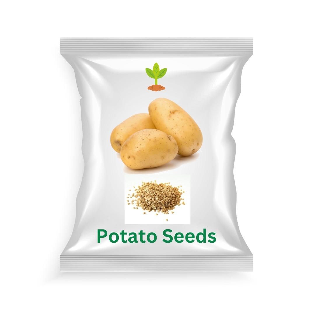 Organic potato seeds for forming Pack of 20🥔